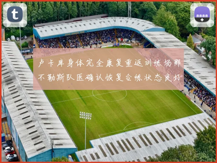 卢卡库身体完全康复重返训练场那不勒斯队医确认恢复合练状态良好