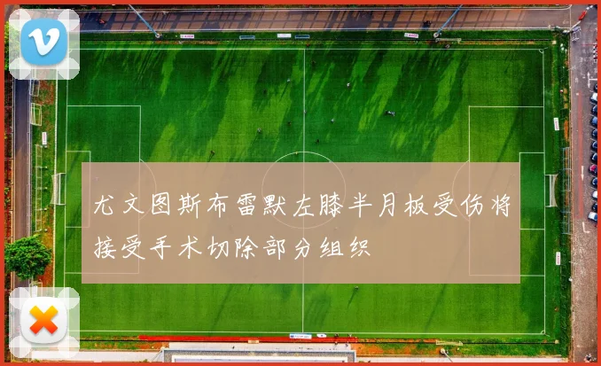 尤文图斯布雷默左膝半月板受伤将接受手术切除部分组织