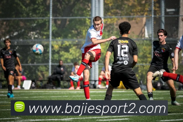 八戒足球体育平台生态图