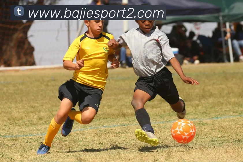 数据防护可视化